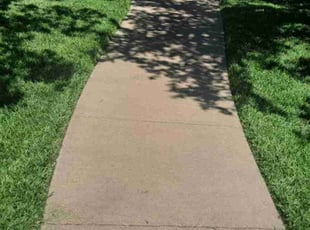 Brandon M.'s Lawn Mowing Service service result
