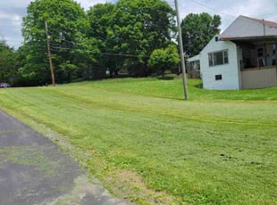 Caitlin H.'s Grass Cutting service result