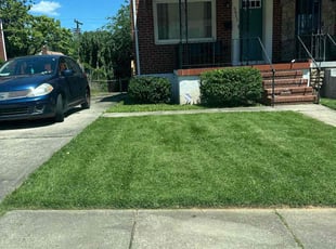 Brian G.'s Lawn Mowing Service service result