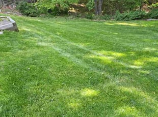 Jeremy B.'s Lawn Mowing service result