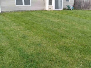 Betty P.'s Yard Cutting service result