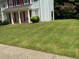 Gia S.'s Lawn Care service result