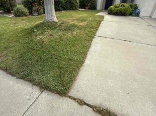 Leigh A.'s Lawn Mowing service result