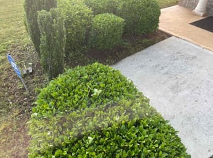 Bush Trimming by Jeffrey Curtis for Allison B. in Fairburn, GA