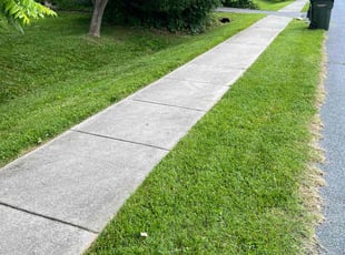 Melissa C.'s Yard Cutting service result