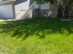 Joe S.'s Lawn Care service result
