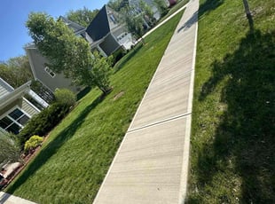 Anne T.'s Lawn Service service result