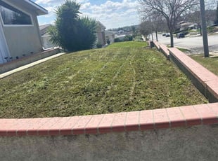 Jimmy w.'s Lawn Service service result