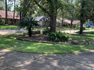 Jason H.'s Lawn Mowing Service service result