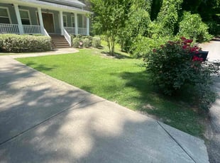 Yoandra M.'s Yard Cutting service result