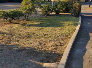 Cleanups by Jesus Urquides for Matthew D. in Fresno, CA