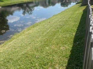 Andrea B.'s Lawn Mowing service result