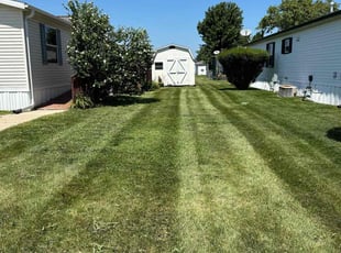 Alicia T.'s Lawn Mowing Service service result