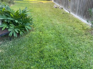 Joel T.'s Lawn Mowing service result