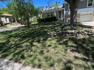 Tracie M.'s Lawn Service service result