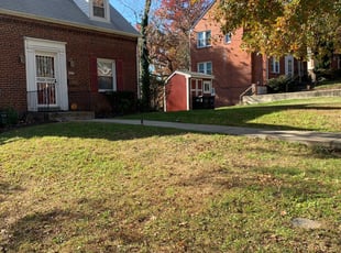 Leaf Removal by Hector Pazos for Karen Q. in Washington, DC