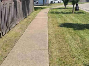 Kyoung J.'s Lawn Care service result