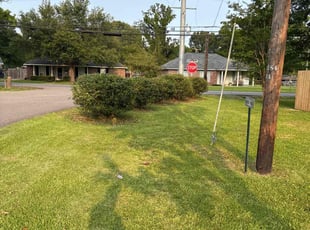 Bush Trimming by Jerry Wells for Adam V. in Zachary, LA