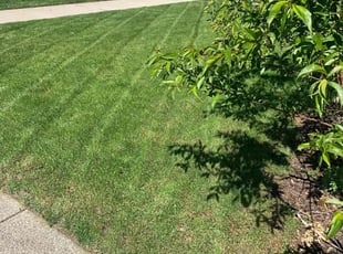 Donna K.'s Lawn Care service result