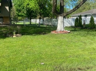 John c.'s Lawn Mowing service result