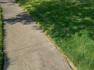 Richard ( Rick ) R.'s Lawn Service service result