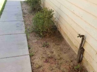 Bush Trimming by Jennifer Duncan for Larry C. in Lancaster, CA