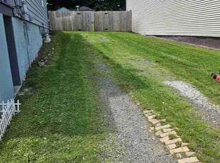Denise G.'s Lawn Care service result