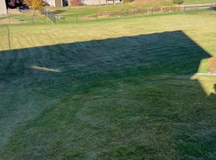 Kaylon C.'s Lawn Mowing service result
