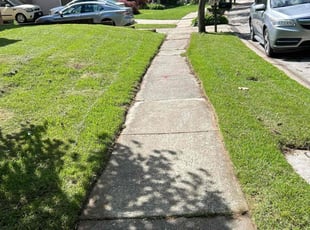 Emma w.'s Lawn Mowing service result