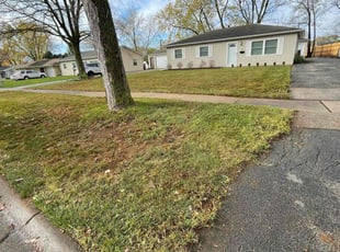 Leaf Removal by Francisco Silva for Grant K. in North Aurora, IL