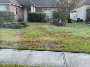 Weeding by Carl George for Yoon Ha L. in Baton Rouge, LA