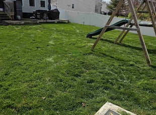 Idalia R.'s Lawn Service service result
