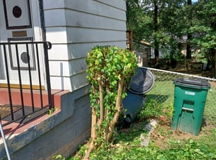Bush Trimming by Jose Paz for Lisa D. in Capitol Heights, MD