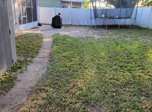 Leaf Removal by Permon Riggins for Elliott D. in Orlando, FL