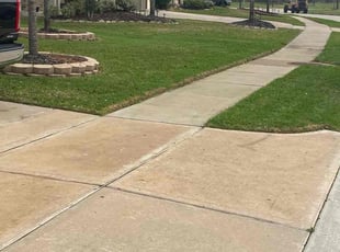 Debi C.'s Lawn Mowing service result