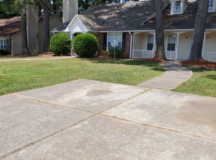 Mercedez R.'s Lawn Maintenance service result