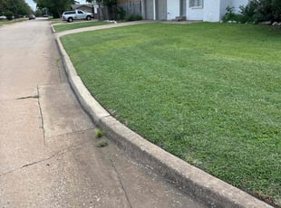 Cherry L.'s Grass Cutting service result