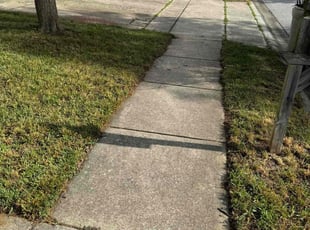 Kyle Z.'s Lawn Mowing service result