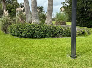 Helen T.'s Yard Cutting service result