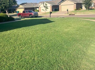 Arthur S.'s Lawn Mowing service result