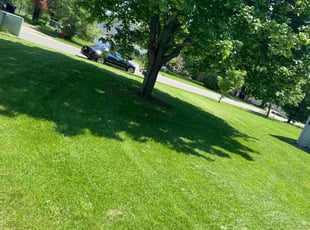 Donald M.'s Lawn Mowing service result