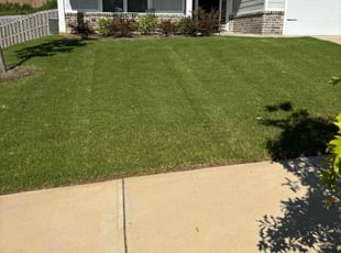 Jill L.'s Lawn Care service result
