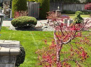 Darren H.'s Lawn Mowing Service service result
