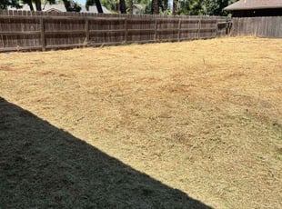 Aaron C.'s Yard Cutting service result
