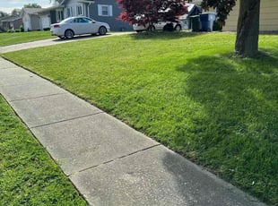 JJoel B.'s Lawn Service service result