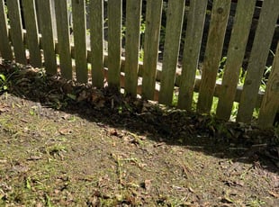 Cleanups by Mathew Benham for Robert C. in Syracuse, NY