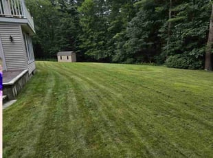 Charles P.'s Lawn Mowing service result