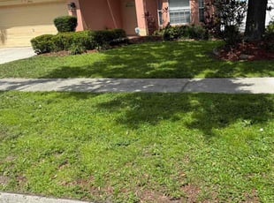 Bush Trimming by William Chavers for Leon D. in Riverview, FL