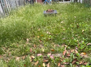 Bush Trimming by Caree Keith for Marva M. in Upper Marlboro, MD