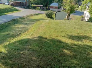 Scott W.'s Lawn Mowing service result